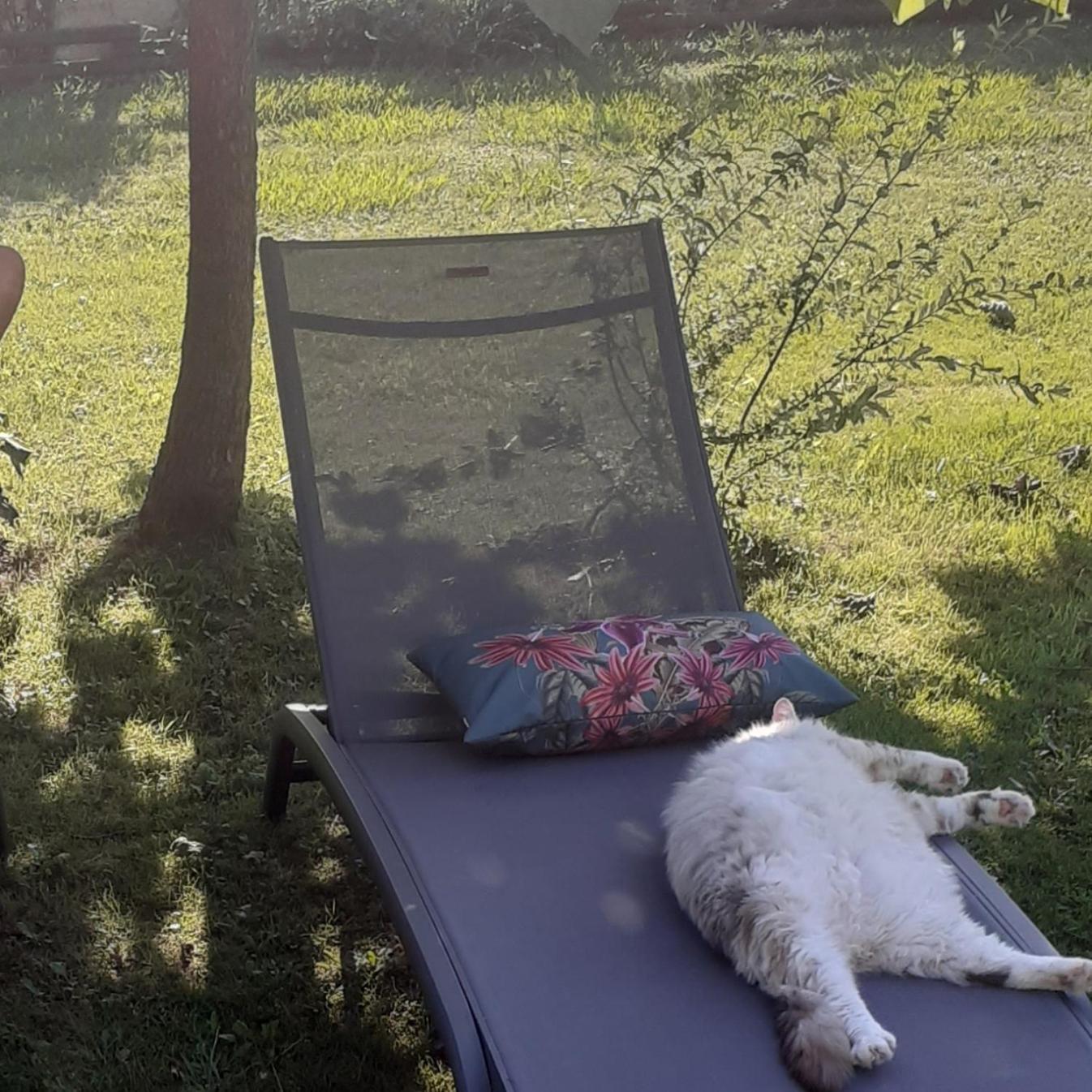 Bed and Breakfast O'jardin Arthez-de-Bearn Exterior foto